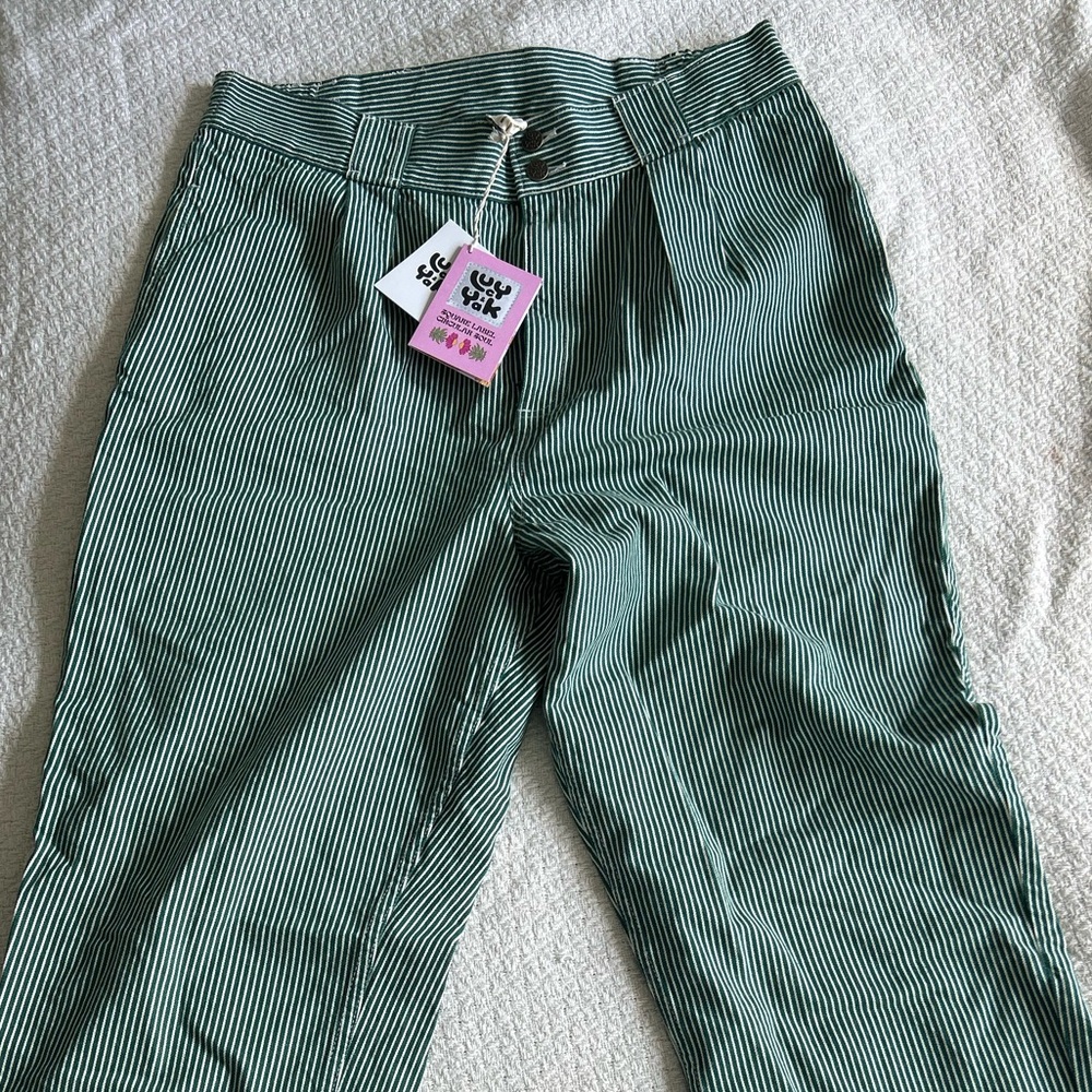 NWT Lucy & Yak Green Striped Addison Pants